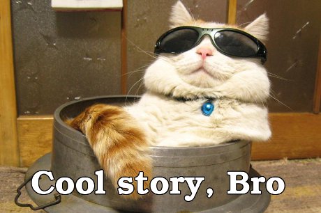 [Image: cat_cool_story_bro3.jpg]